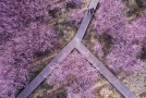 第四届“美丽幸福新河口”全国摄影大展拟入展作品节选