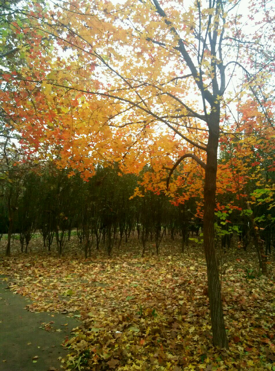 20161120174908_5831719419bd7.jpg