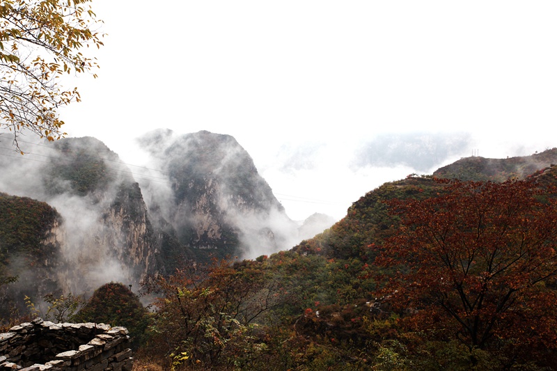 IMG_9738_副本_副本.jpg