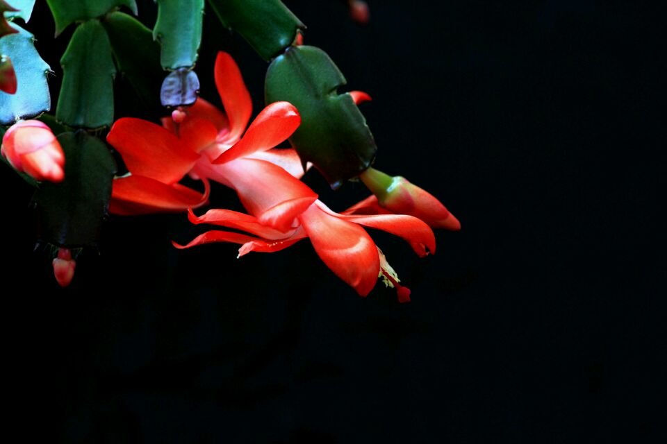 20161201002628_583efdb477458.jpg