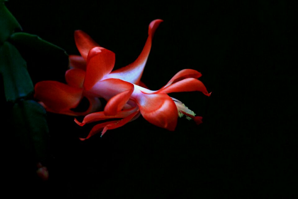 20161201002626_583efdb2e5576.jpg