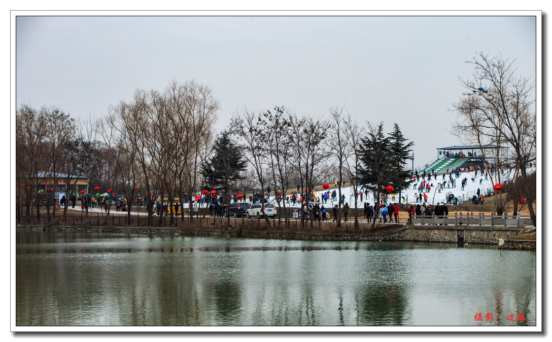 _MG_7031.jpg