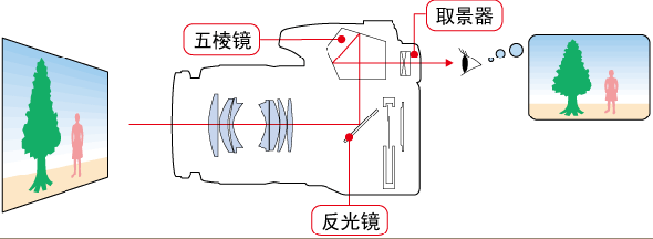 t06.gif