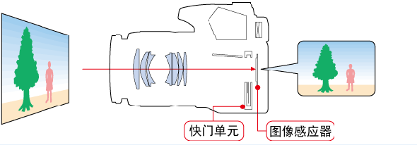 t07.gif