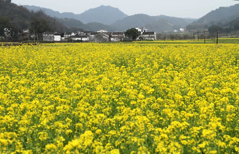 wy04.jpg