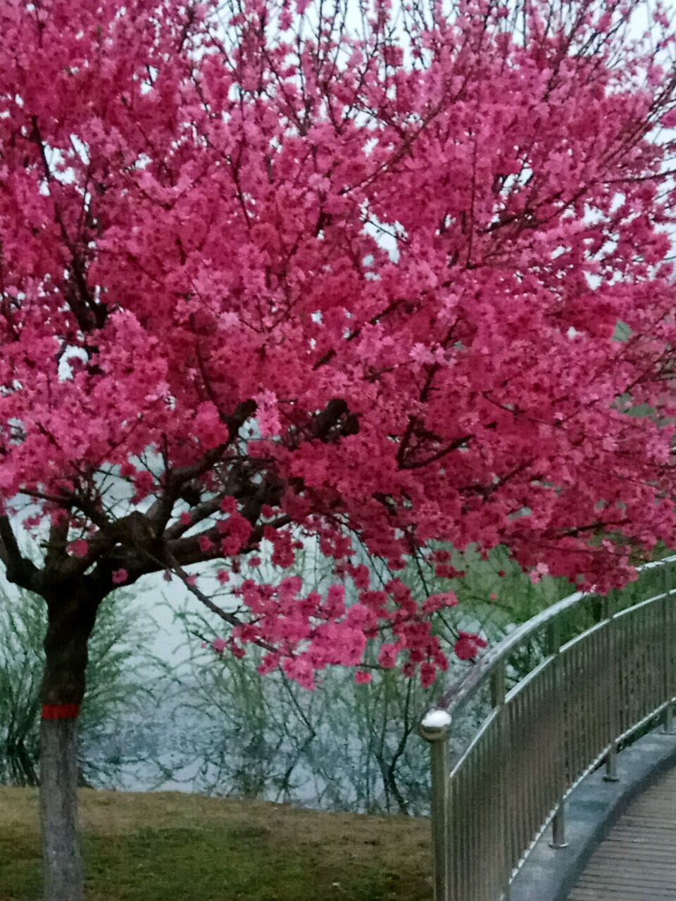 20170411225310_58ecedd690585.jpg