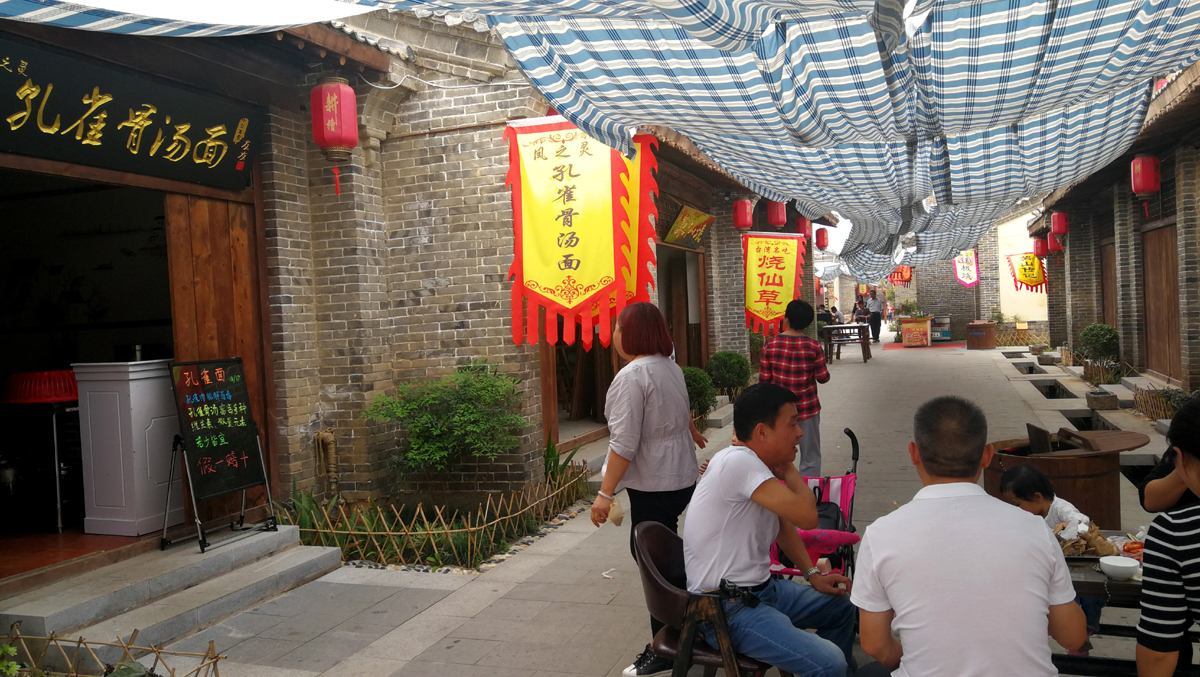 2022留恋忘返孔雀面p.jpg