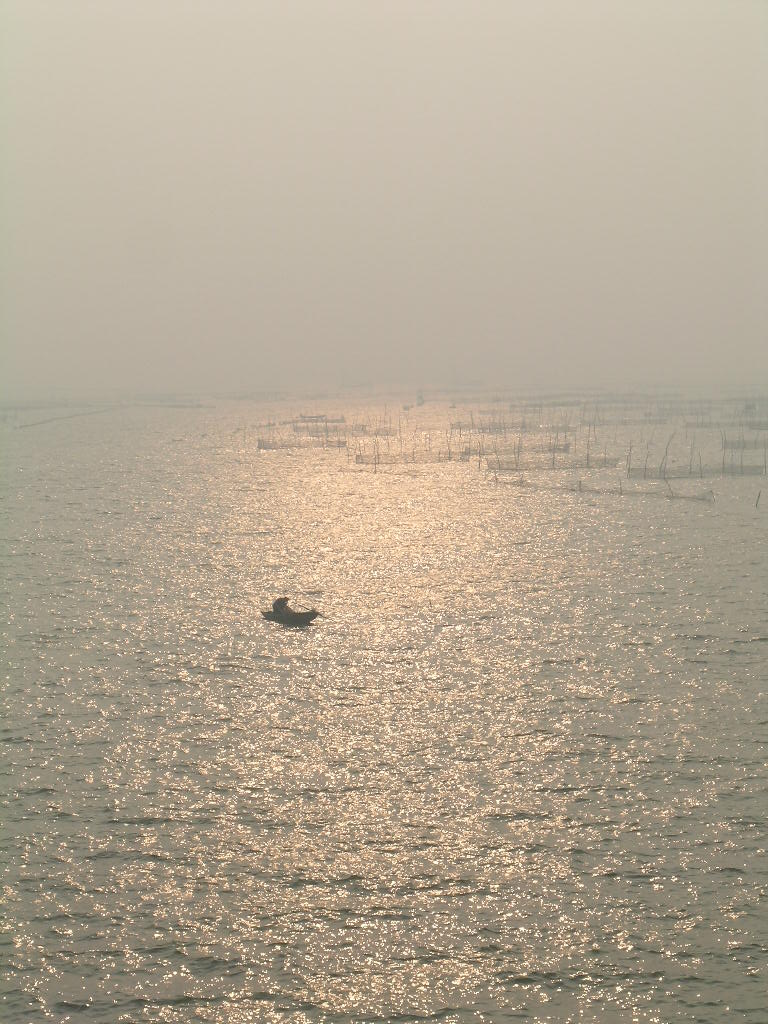 东平湖的水光