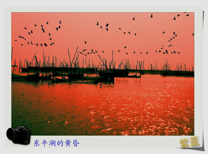 [推荐]紫蓝佳作-东平湖的黄昏