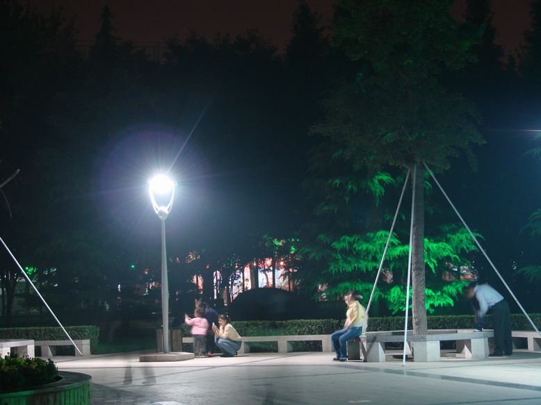 龙乡夜景