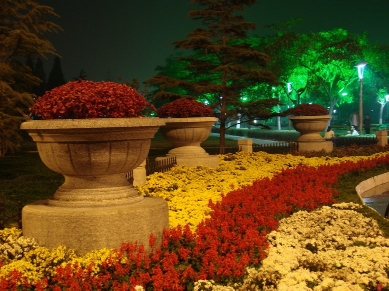 龙乡夜景