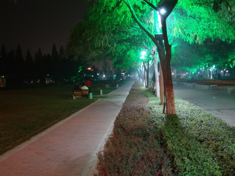 龙乡夜景