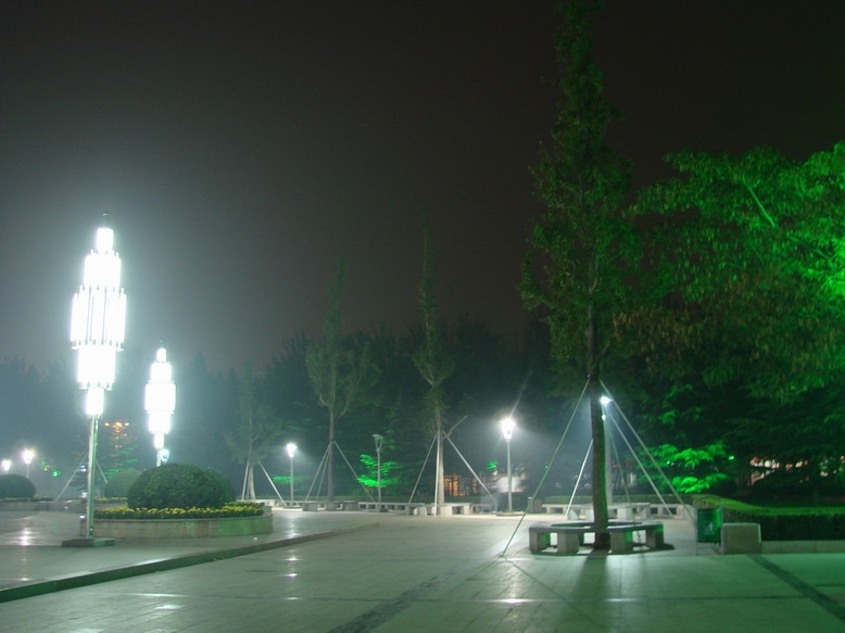 龙乡夜景