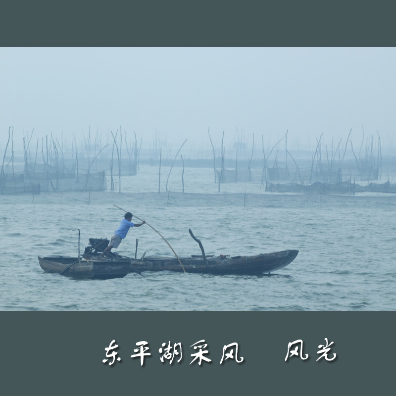 [山东东平湖采风] --[接片]晨雾笼罩东平湖 一片汪洋都不见