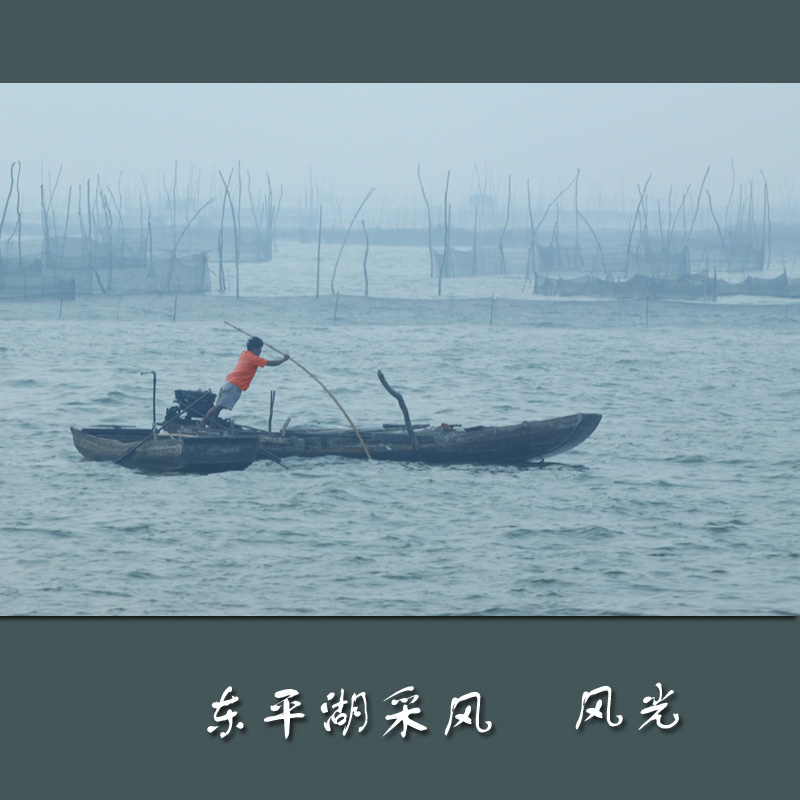 [山东东平湖采风] --[接片]晨雾笼罩东平湖 一片汪洋都不见