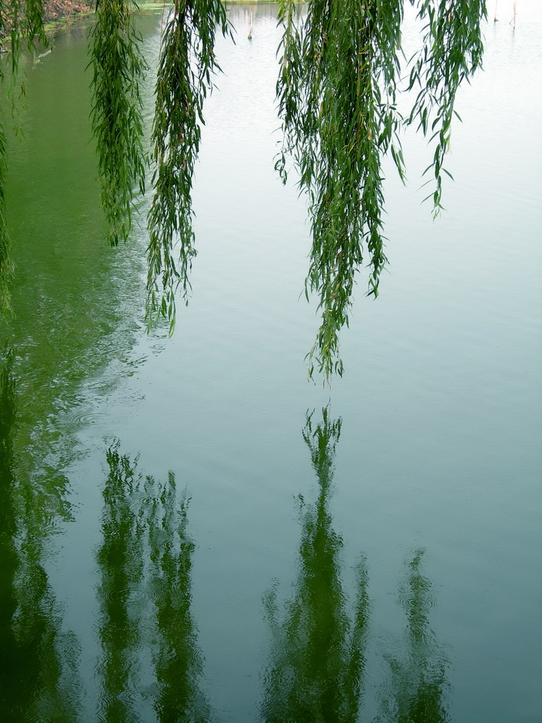 [原创]东平湖风景