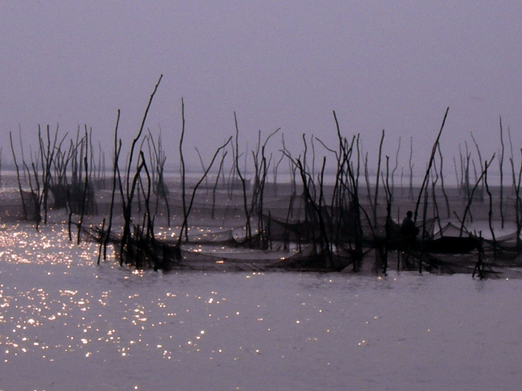 [原创]东平湖风景