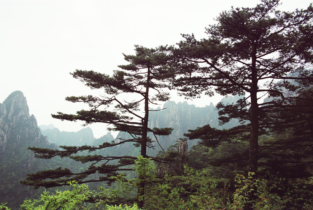 黄山风光