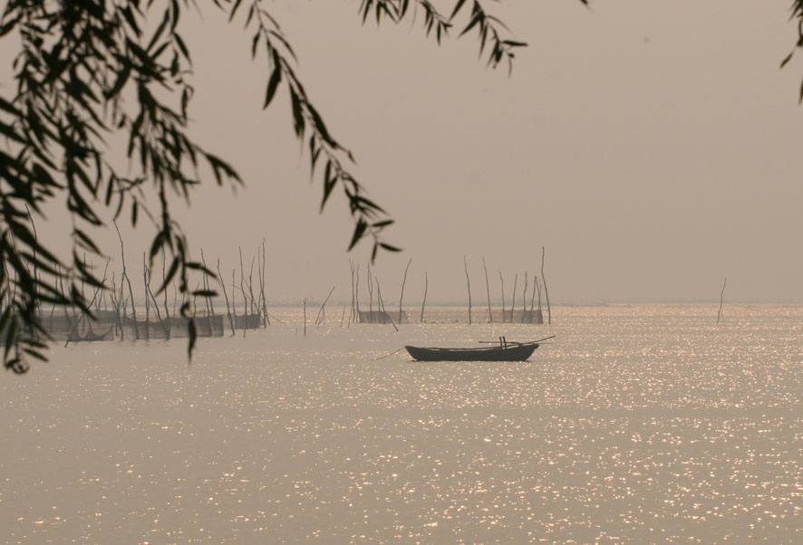 怡情东平湖
