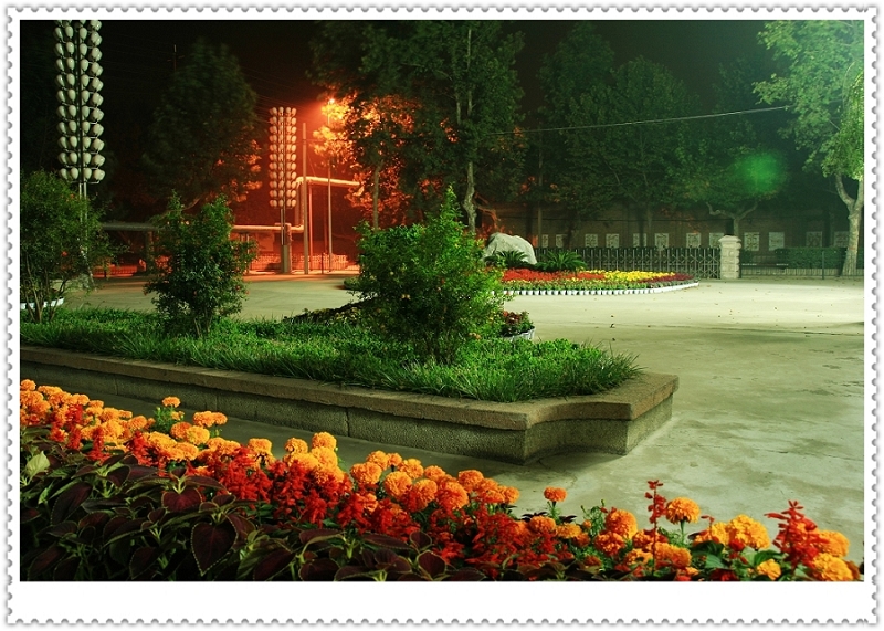 夜色