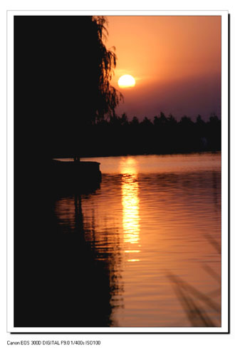 濮上圆