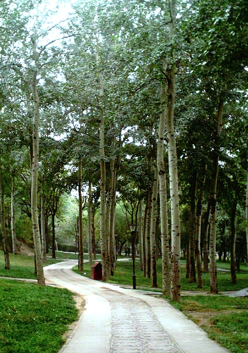 淘然小景