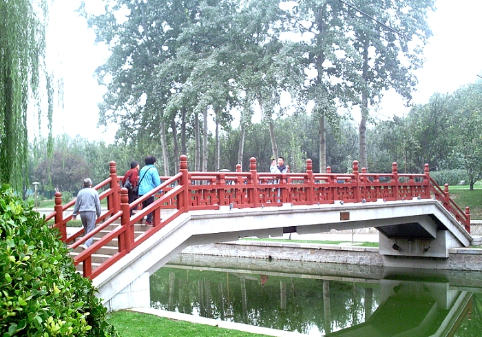 淘然小景