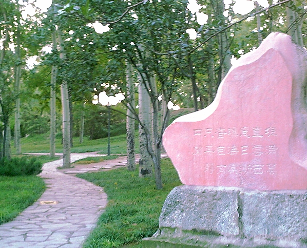 淘然小景