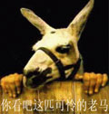 瘦马自带相框