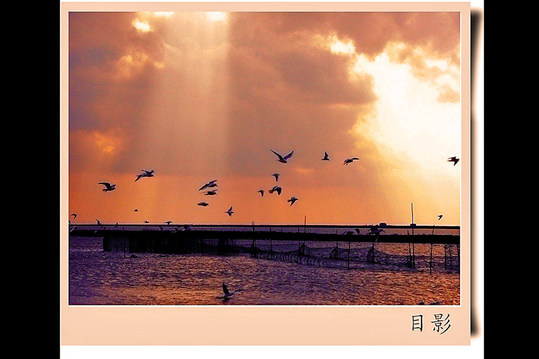 [推荐]目影佳作-黄河入海口湿地风光