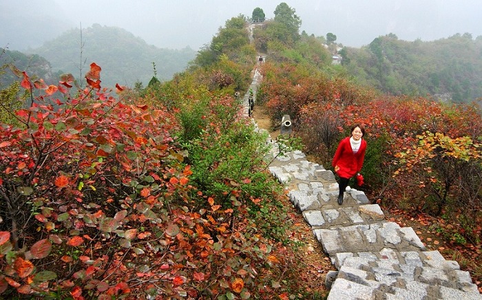 青龙峡红叶