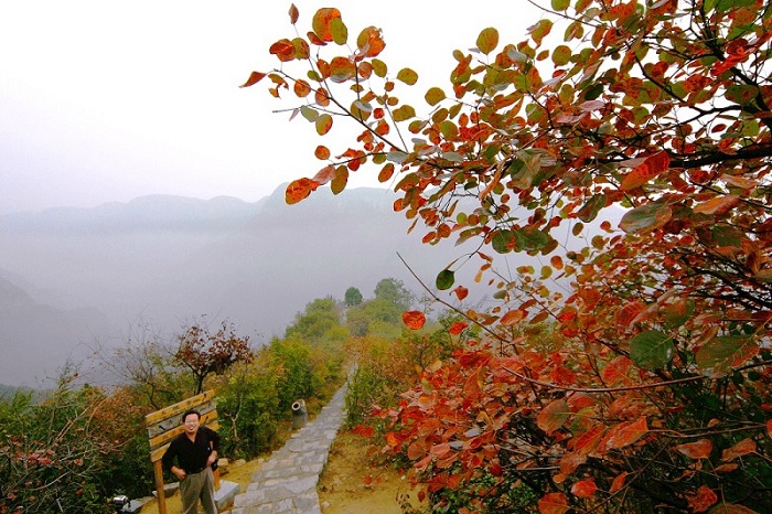 青龙峡红叶