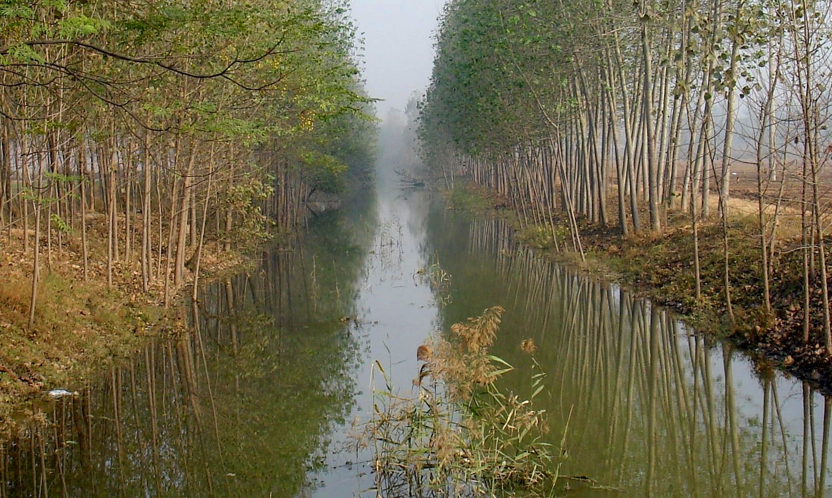 秋水