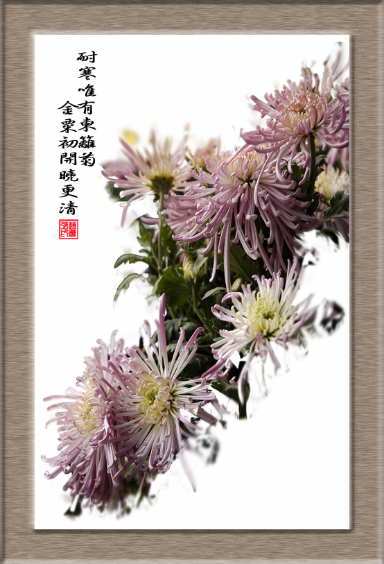 秋菊