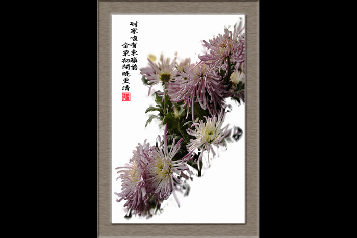 [推荐]素描图佳作-秋菊图