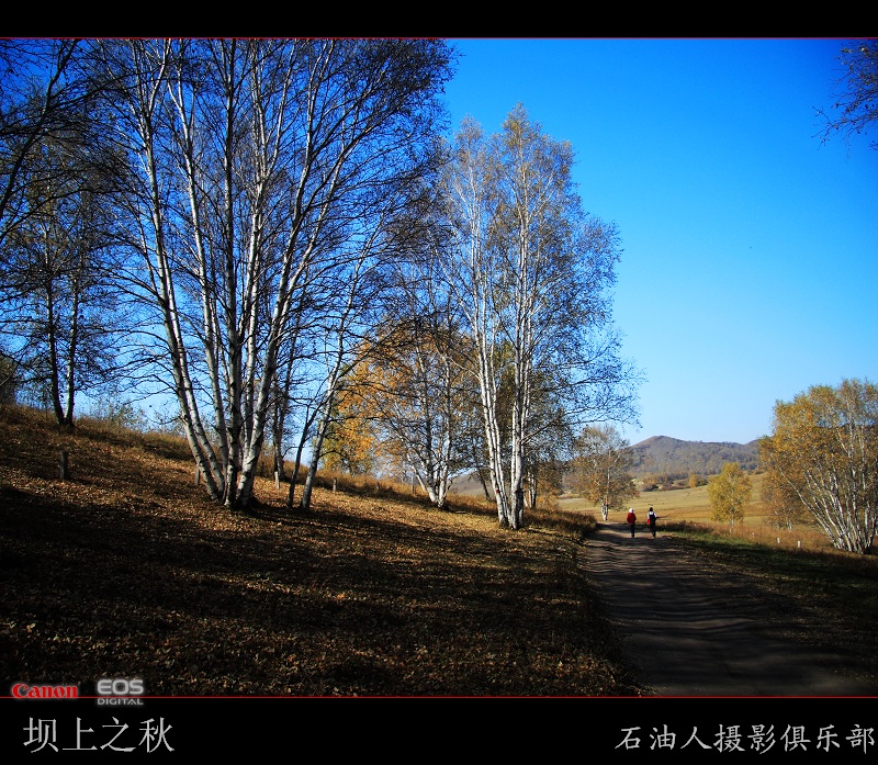 金秋坝上勾魂美景系列