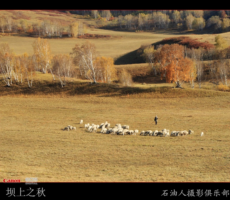 金秋坝上勾魂美景系列