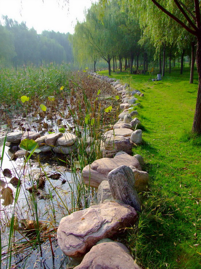 戚城小景