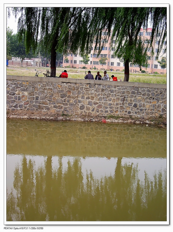 一条大河