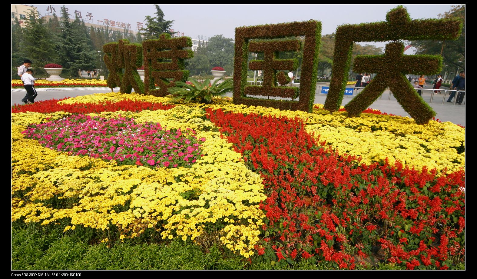 10月6日上午在濮阳中心广场拍摄