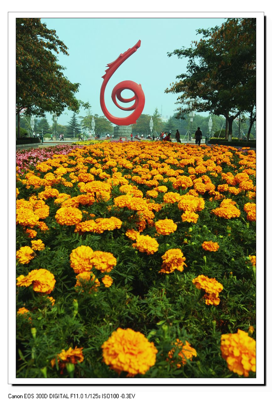 10月6日上午在濮阳中心广场拍摄