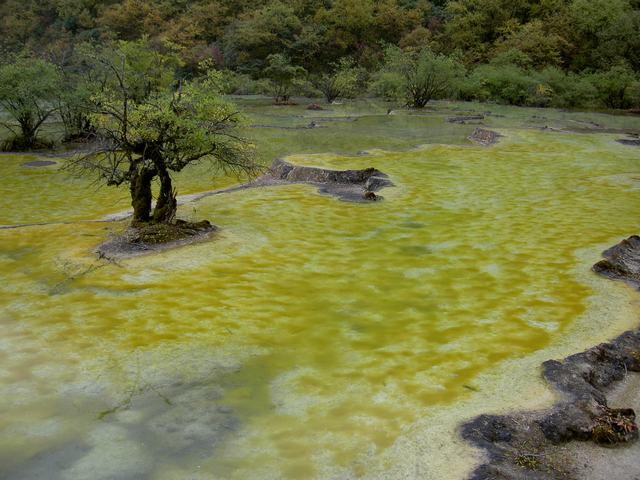 黄龙景色