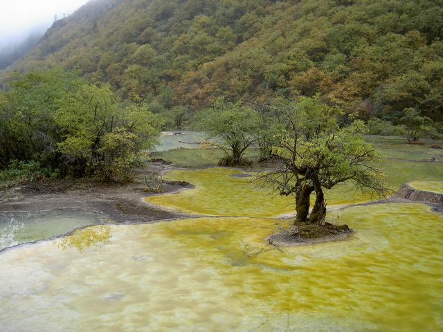 黄龙景色