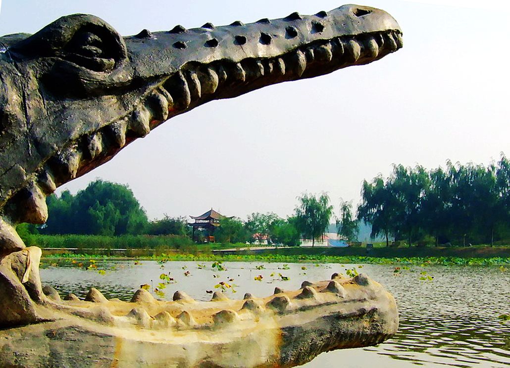 好大一张嘴