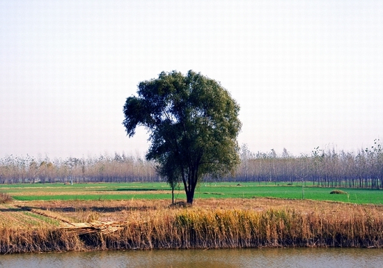 东明印象