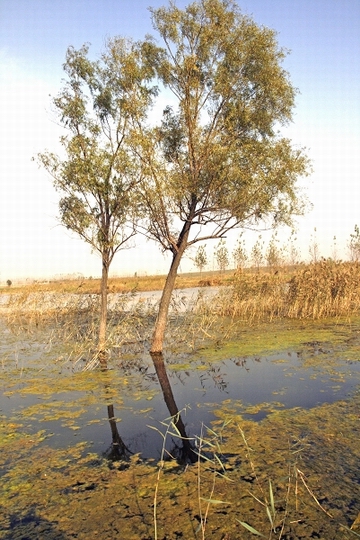 东明印象