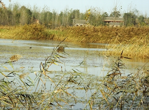 东明印象