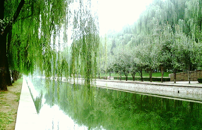 绿秋2