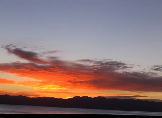 青海