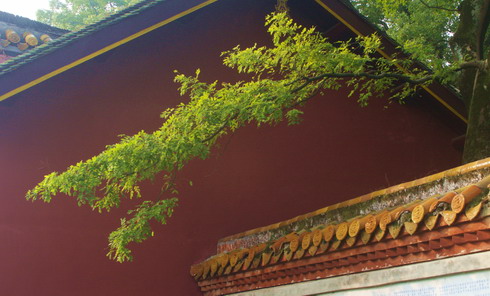 天高云淡非作品系列